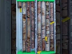 بیت الماس آغشته به هسته